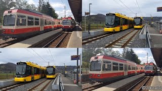 Waldenburgerbahn 2016 amp Waldenburgerdrämmli BLT 2023 [upl. by Papst662]