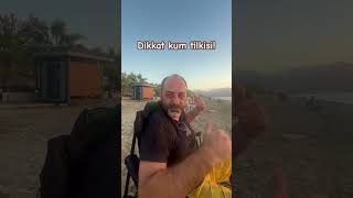 Dikkat kum tilkisi  çapkın tilki yüzme deniz komik ￼ [upl. by Kalb945]