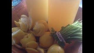 Cilantro Lemonade Detox Juice [upl. by Eilliw]