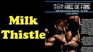 Milk Thistle  Bodybuilding Tips To Get Big [upl. by Ilojna]