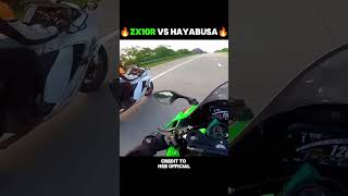 ZX10R VS HAYABUSA🔥 shortvideo hyperrider automobile hyperbike motovlog race hyperriding [upl. by Mohl]