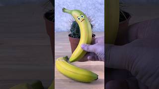 Banana fell on a cactus Emergency fruit surgery shorts [upl. by Artened476]