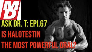 Is Halotestin the most powerful oral ASK DR TESTOSTERONE EPISODE 67 [upl. by Namso257]