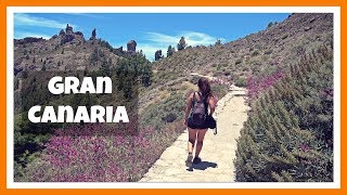 Gran Canaria Top 5 Imprescindibles Teror Roque Nublo y Bandama  To Do Gran Canaria  Canarias 11 [upl. by Yaned790]