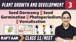 Plant Growth and Development 03  Seed Dormancy  Seed Germination  Class11NEET RAFTAAR [upl. by Cherise516]