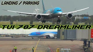 TUI Dreamliner 787 Landing amp Parking  Schiphol HD [upl. by Yboj]