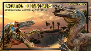 Evolution of SPINOSAURS  SPINOSAURIDAE clade CHARACTERISTICS STRUCTURE PALEOBIOLOGY [upl. by Oswald981]