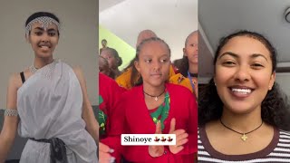 Oromo Music Tiktok 2024  SHINOYE  QABEE [upl. by Anailuy]