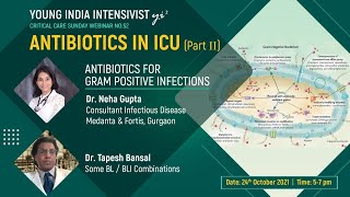 antibiotics icu  gram positive  Dr Neha Gupta  ID  ceftz avi ceftrio sulb edta T Bansal [upl. by Yelkao890]