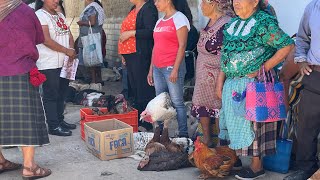 Día de plaza en tlacolula de matamoros oaxacaoaxaca tradiciones viral mercados [upl. by Iffar]