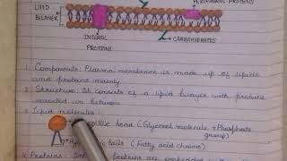 Fluid Mosaic ModelPlasma Membrane [upl. by Suixela]