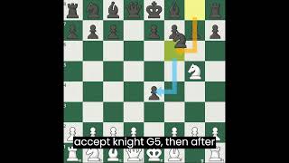 Tennison Gambit Trap  Win their Queen chess [upl. by Herrmann837]