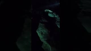 Cave diving cenote to cenote Yucatán [upl. by Ecirtnas974]