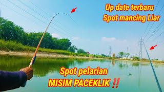 Tes Spot pelarian‼️ mancing pinggiran saja joran melengkung tajam  waduk karka Sidoarjo  Eps 1 [upl. by Winfred187]