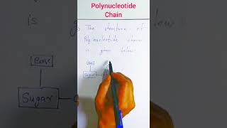 Structure of polynucleotide chain [upl. by Ellie256]