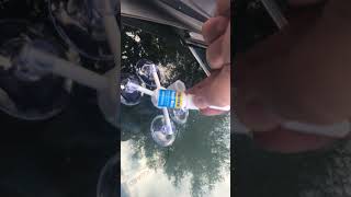 windshield repair Kit rainx automobile caraccessories diy [upl. by Vachill]