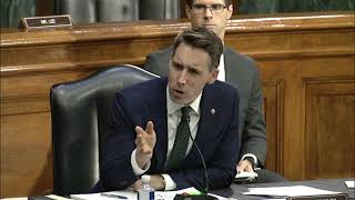 Senator Hawley Questions DHS Secretary Mayorkas in Judiciary Hearing Pt 2 [upl. by Euqinaj]