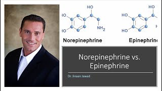 What Is The Difference Between Norepinephrine and Epinephrine [upl. by Plath]