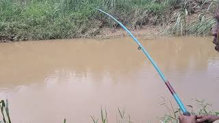 INILAH TANTANGAN KALO MANCING HABIS BANJIR‼️ BANYAK SANGKUTAN ‼️ SEKEDAR MANCING [upl. by Olney]