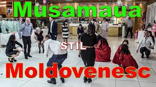 Musamaua in Stil Moldovenesc  Petru Ursache Evenimente [upl. by Sinai]