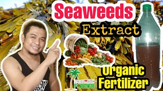 How to use seaweed in your garden [upl. by Atil286]