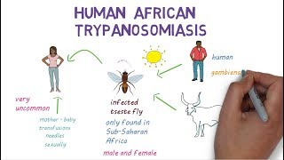 Sleeping Sickness  an introduction to African Trypanosomiasis [upl. by Vaas]