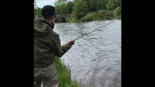 River Drowes Salmon [upl. by Glennie]