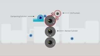 Lithographic printing process explained by Sterling [upl. by Ahsilrac]