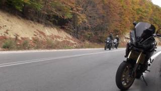 Triumph Tiger 1050 and more Triumphs [upl. by Latsyrd]