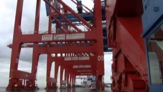 Trailer  Arbeiten am EUROGATE Container Terminal Wilhelmshaven [upl. by Airtemak]