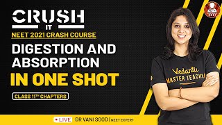 Digestion and Absorption in OneShot  Crush It NEET 2022 Crash Course  Class 11 Biology Chapters [upl. by Enrahs]