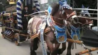 alle Brauereikutschen der Wiesn 2010 [upl. by Nosreh]