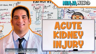 Acute Kidney Injury AKI  Etiology Pathophysiology Clinical Features Diagnosis Treatment [upl. by Minne830]