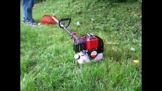 Brand new Trueshopping 43cc Strimmerbrushcutterhedge cutterchainsaw  First start up Part 3of3 [upl. by Mcarthur177]