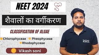 Algae Classification  Class 11 Biology  शैवालों का वर्गीकरण  कक्षा 11 जीवविज्ञान NEET 2024 [upl. by Enilegna]