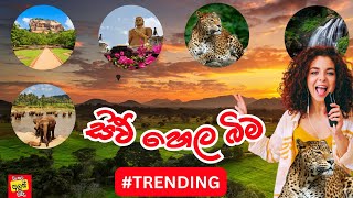 Sinhala Songs about Sri Lanka  Deshabhimani Gee sinhalasongs Mind Relaxing Sinhala New Songs 🎶 [upl. by Assilaj744]