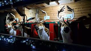 Center Parcs Elveden Singing Reindeers 2023  Jingle bellsSilence night [upl. by Alister738]