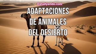 Adaptaciones de animales del desierto [upl. by Neenaej]