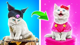 Hello Kitty спасла бездомного котёнка Лайфхаки для владельцев животных [upl. by Aimet]