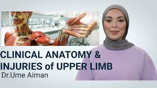 Clinical Anatomy amp Injuries of Upper LimbDrUmeAiman [upl. by Bradlee344]