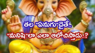 ఏనుగుతల మనిషికి ఎలా  Penmetsa subbaraju [upl. by Gnehs130]