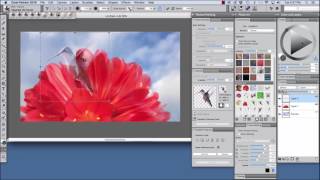 Corel Painter 2018 Digital Art Software NEW Cloning Enhancements [upl. by Krystin]