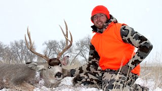 COLORADO MULE DEER RUT HUNT [upl. by Rex172]