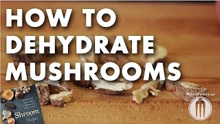 How to Dehydrate Mushrooms Technique Video [upl. by Noryd]