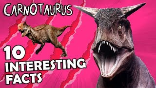 CARNOTAURUS 10 Interesting Facts [upl. by Chaddie]