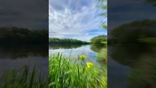 Lac de la Pouge this morning hautevienne bergeraustralien nature springmorning france [upl. by Hirsh985]