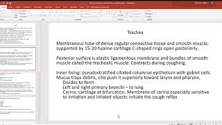 45 Larynx trachea conducting zone respiratory zone [upl. by Nowyt334]