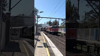 R766 steam loco and 42103 passing Koolewong to Sydney [upl. by Nyved]