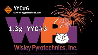 Wisley Pyrotechnics Inc YYC6 100 Shot Firework Cake [upl. by Pevzner559]