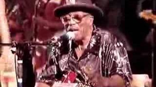 Bo Diddley  Crackin Up  Gainesville 61706 [upl. by Herring43]